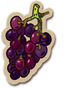 image d'un raisin